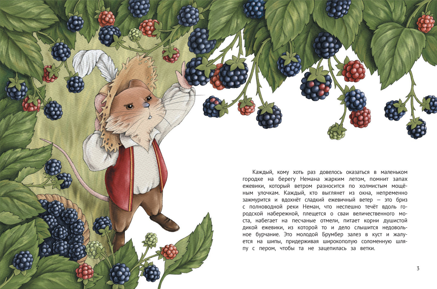 Честный Брумбер