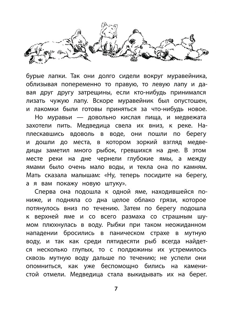 Сетон-Томпсон. Жизнь серого медведя.