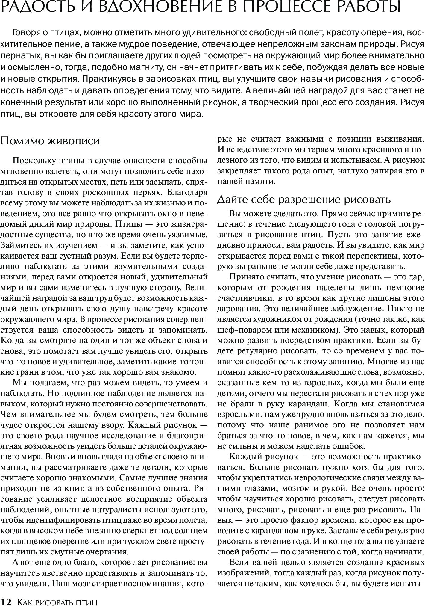 Как рисовать птиц