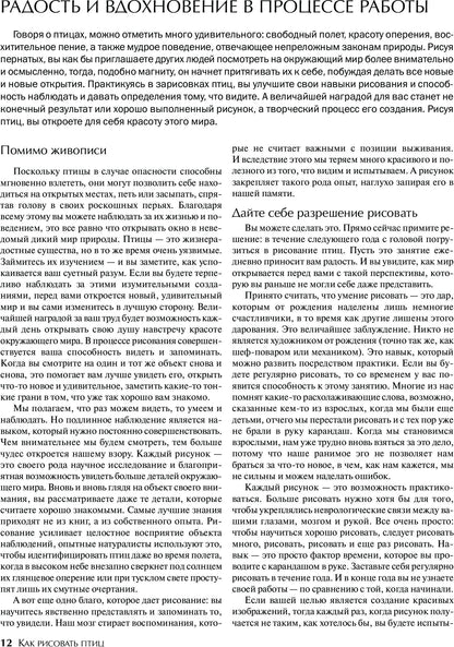 Как рисовать птиц