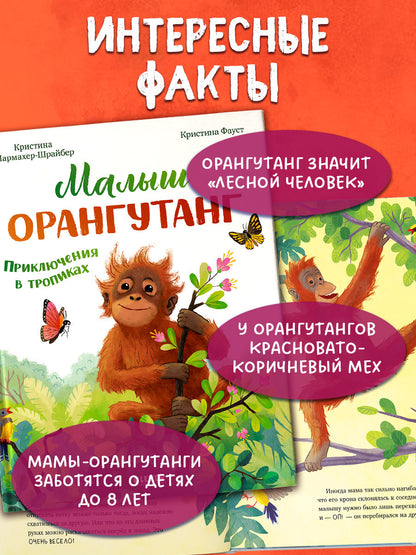 Удивительные животные. Малыш орангутанг. Приключения в тропиках/Шармахер-Шрайбер К.