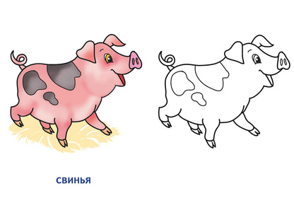 Раскраска. Домашние животные. 2-4 года.