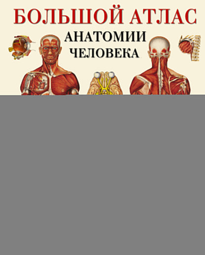 Большой атлас анатомии человека