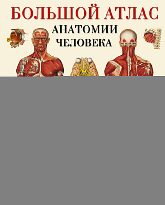 Большой атлас анатомии человека