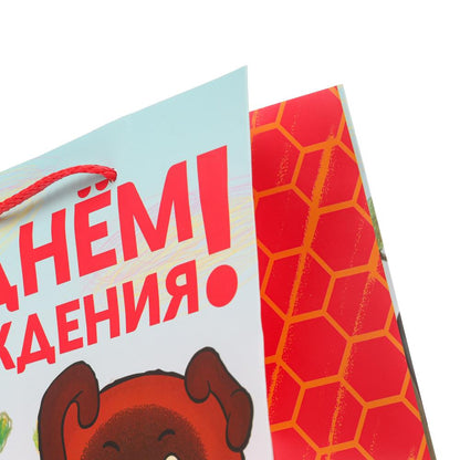 Paquet de produits alimentaires pour animaux de compagnie, 140 gr/м2 ЧУДО ПРАЗДНИК в cor.12*12шт