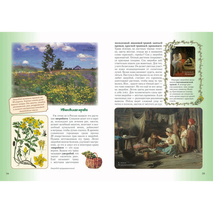 Детский травник