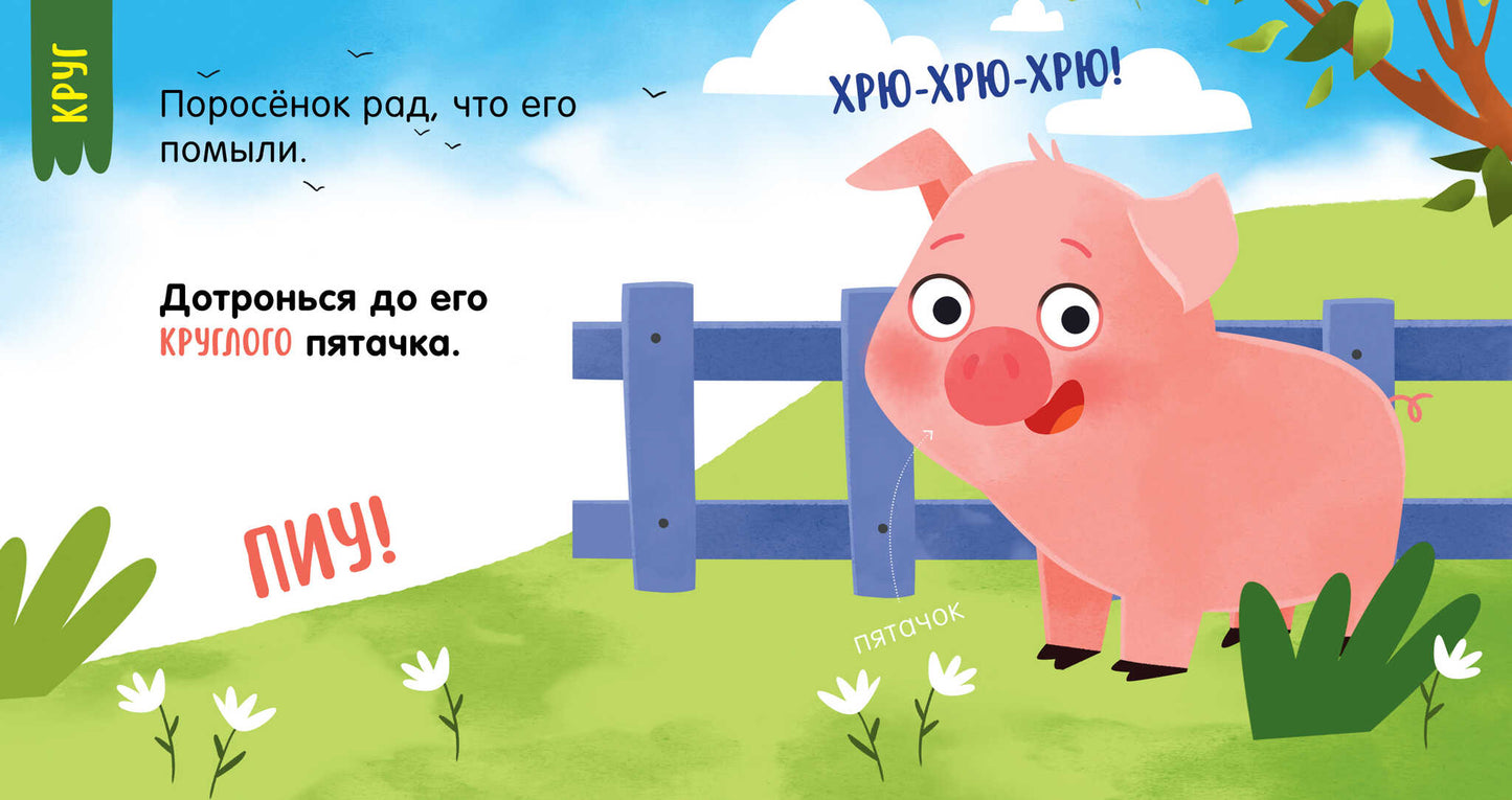 Мой умный малыш. Формы