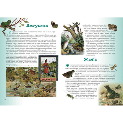 Прогулки по лесу. - 2-е изд.