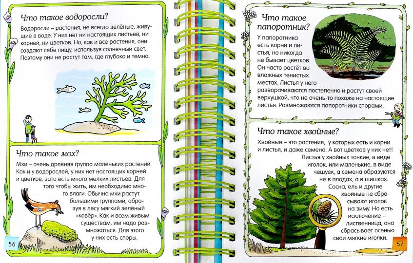 Скажи мне, что это?