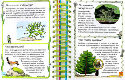 Скажи мне, что это?