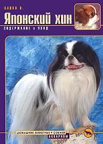 Японский хин. Содержание и уход