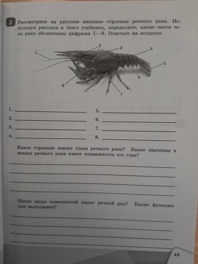 Чередниченко. Биология. Рабочая тетрадь 7 кл.