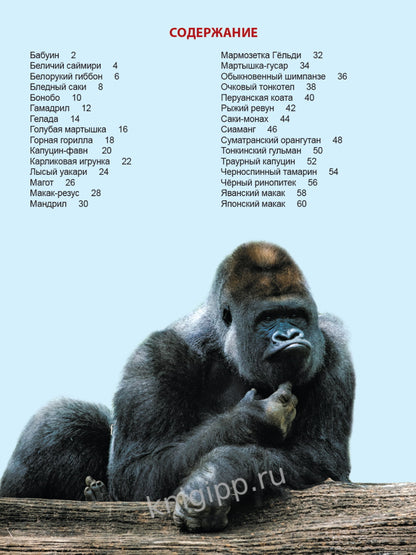 ЭНЦИКЛОПЕДИЯ ДЛЯ ДЕТЕЙ новые. ОБЕЗЬЯНЫ