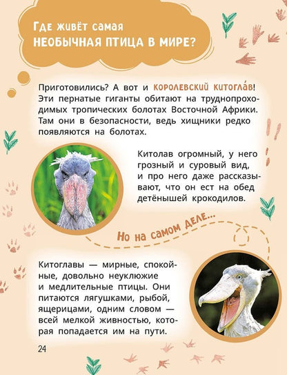 Лева и Лиза знакомятся с необычными животными
