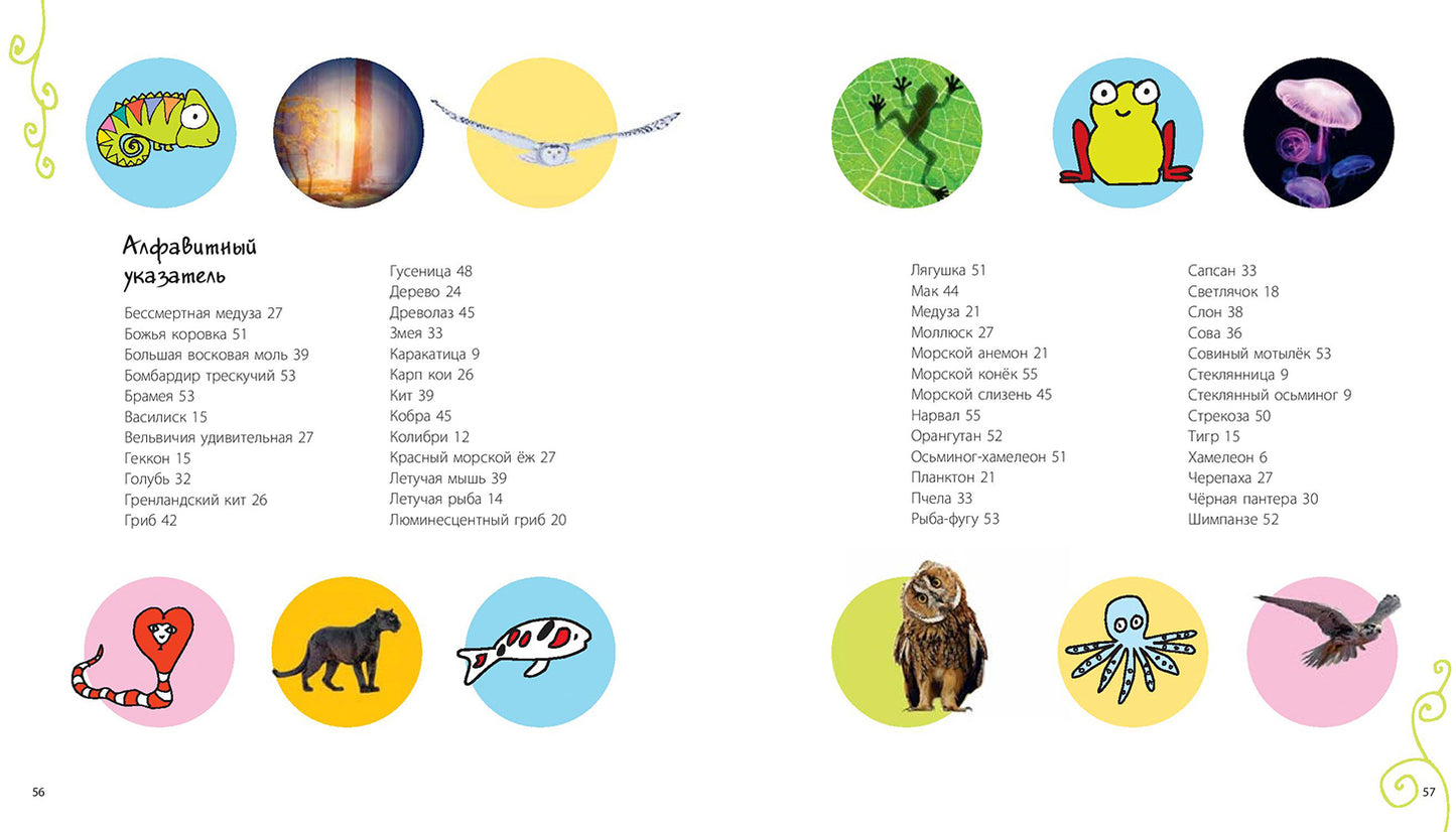 Посмотри, как я могу! Чудеса животного мира (ожидается поступление)