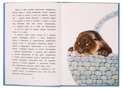 Чаплина. Ная - выдрёнок. Книга за книгой (пер).
