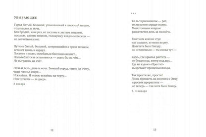 Дневник.Продолжение