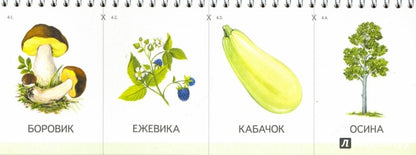 Картинки на пружинке. Выпуск №1. Мир растений. Дидактический материал по развитию логического мышления и связной речи у детей.