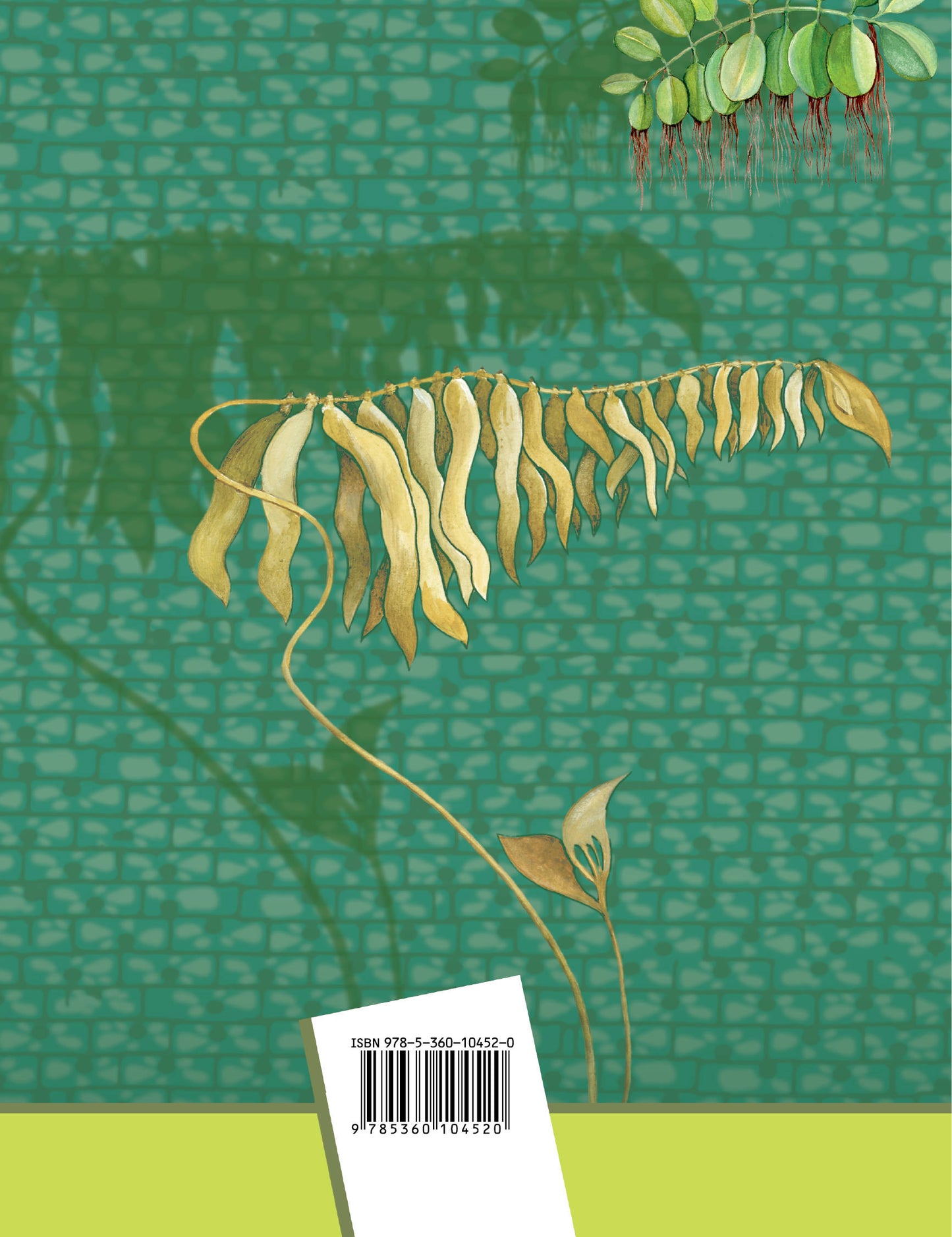 Биология. 6 класс. Рабочая тетрадь №1.