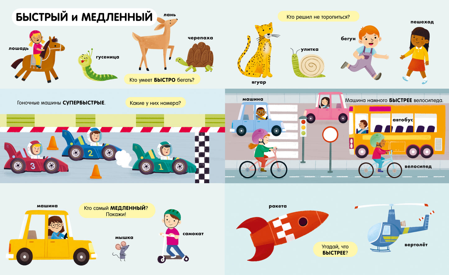 Найди и покажи. Большая книга. Логика