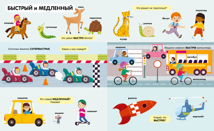 Найди и покажи. Большая книга. Логика