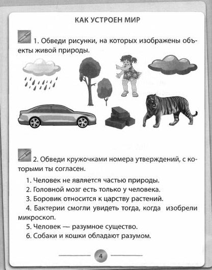 Окружающий мир: 3 класс