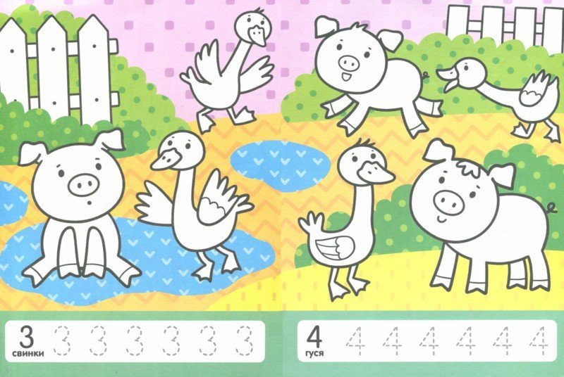 Считаем на ферме:книжка-раскраска