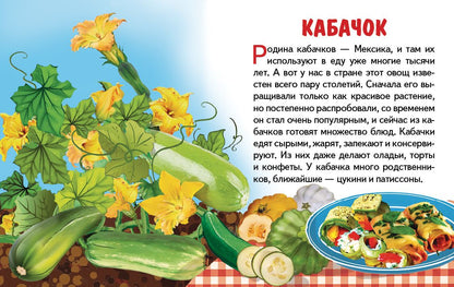 Карточки (европодвес). Овощи ; Карточки (европодвес). Овощи