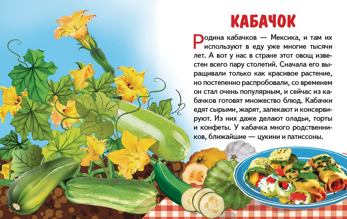 Карточки. Овощи ; Карточки. Овощи