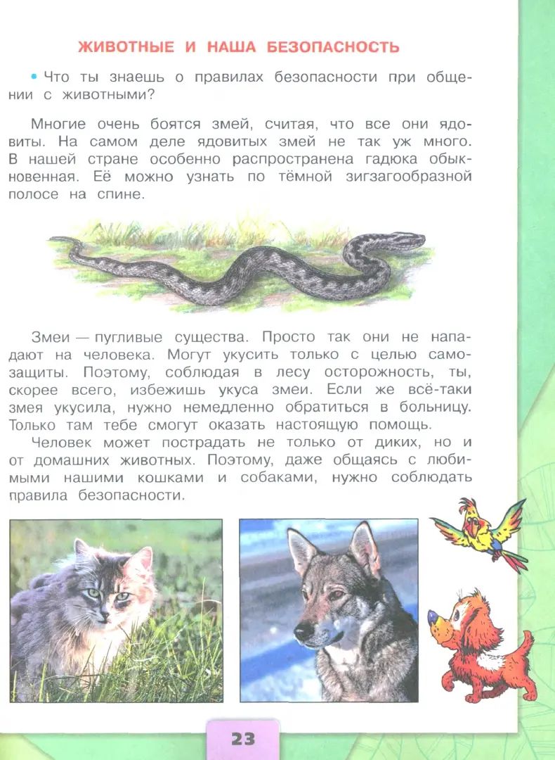 Плешаков. Окружающий мир. 3 класс. Учебник. В 2 ч. Часть 2. /ФГОС 2021