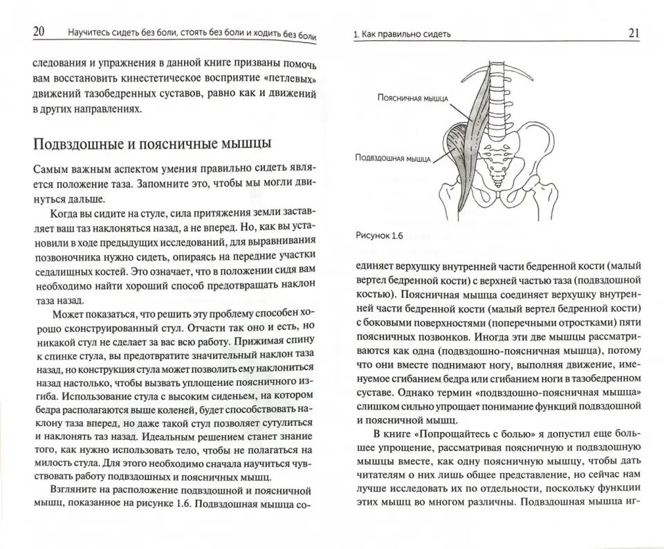 Научитесь сидеть без боли, стоять без боли и ходить без боли