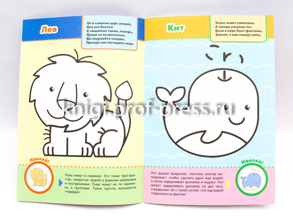 ПЕРВАЯ РАСКРАСКА С ЗАДАНИЯМИ. ДИКИЕ ЖИВОТНЫЕ