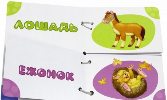 Книжка Найди половинки. Мамы и детки