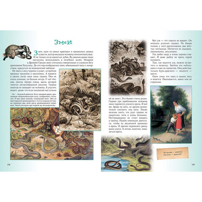 Прогулки по лесу. - 2-е изд.