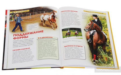 Лошади и пони. Детская энциклопедия