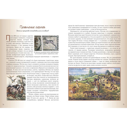Кошки и собаки. Знакомые и неизвестные