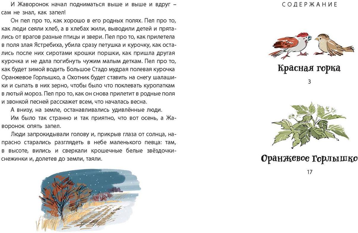 Оранжевое Горлышко: сказки (допечатка в типографии)