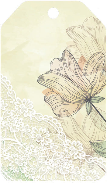 БФ2-15874 Birka. Sans texte