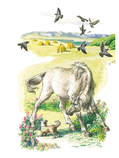 Про Мальку: из "Рассказов о всякой живности"