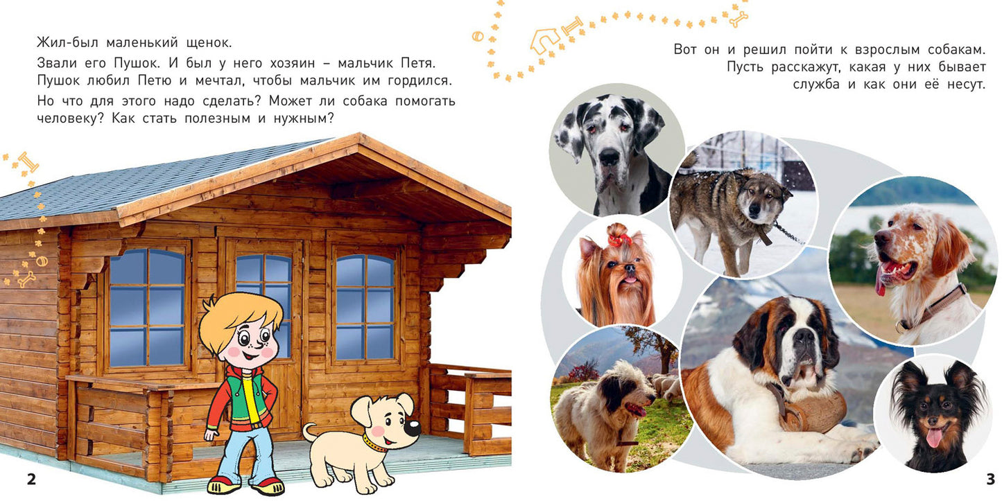 Какие бываю собаки? (ожидается поступление)