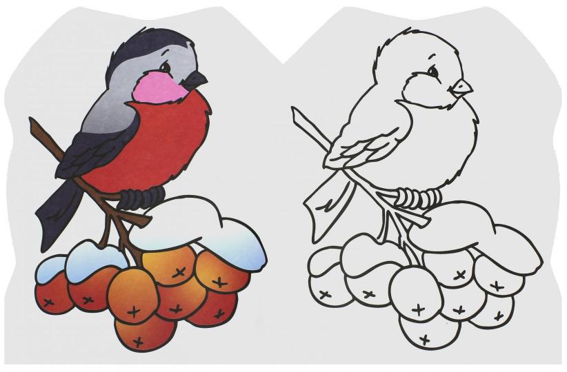 Новогодняя раскраска/белка