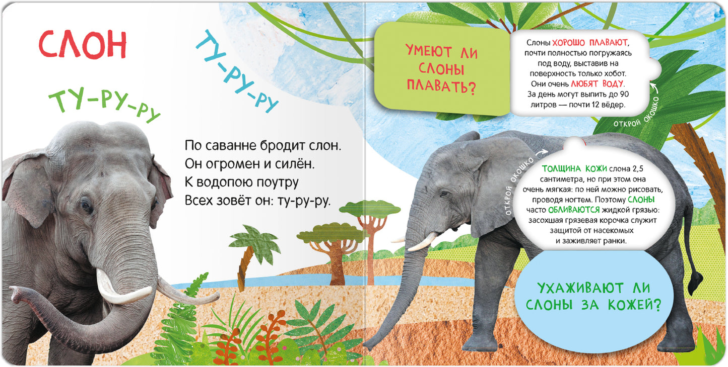 Книжки с окошками. Кто где живет?
