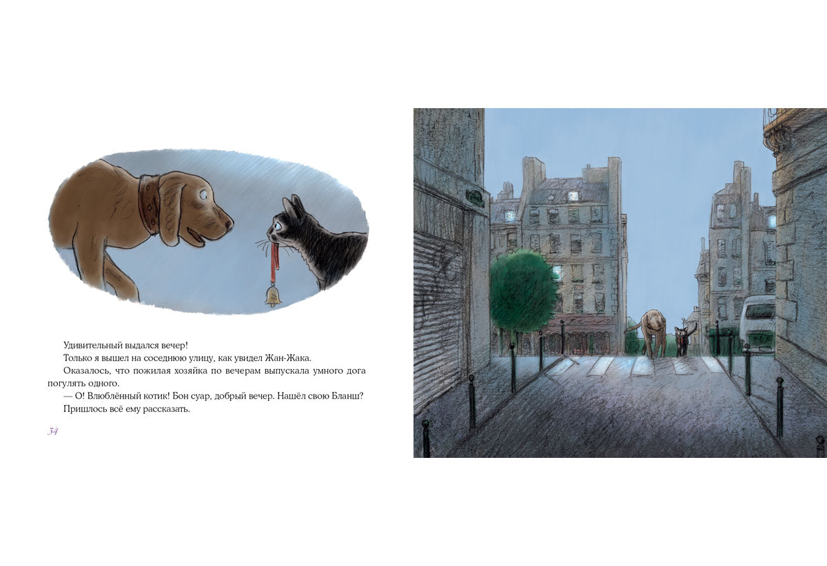 Нуаро и Бланш: [рассказ] / А. В. Соя; ил. А. Аринушкина. - М.: Нигма, 2015. - 48 с.: ил.