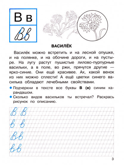 ПРОПИСИ ДЛЯ 1 КЛ. Прописи с рассказами о растениях