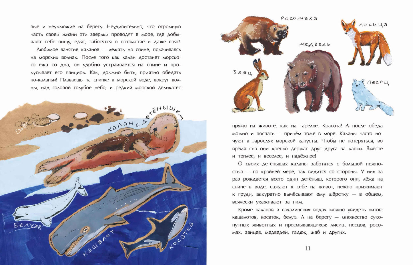 36.Фома.НиН.Сахалин.Самый большой остров России (6