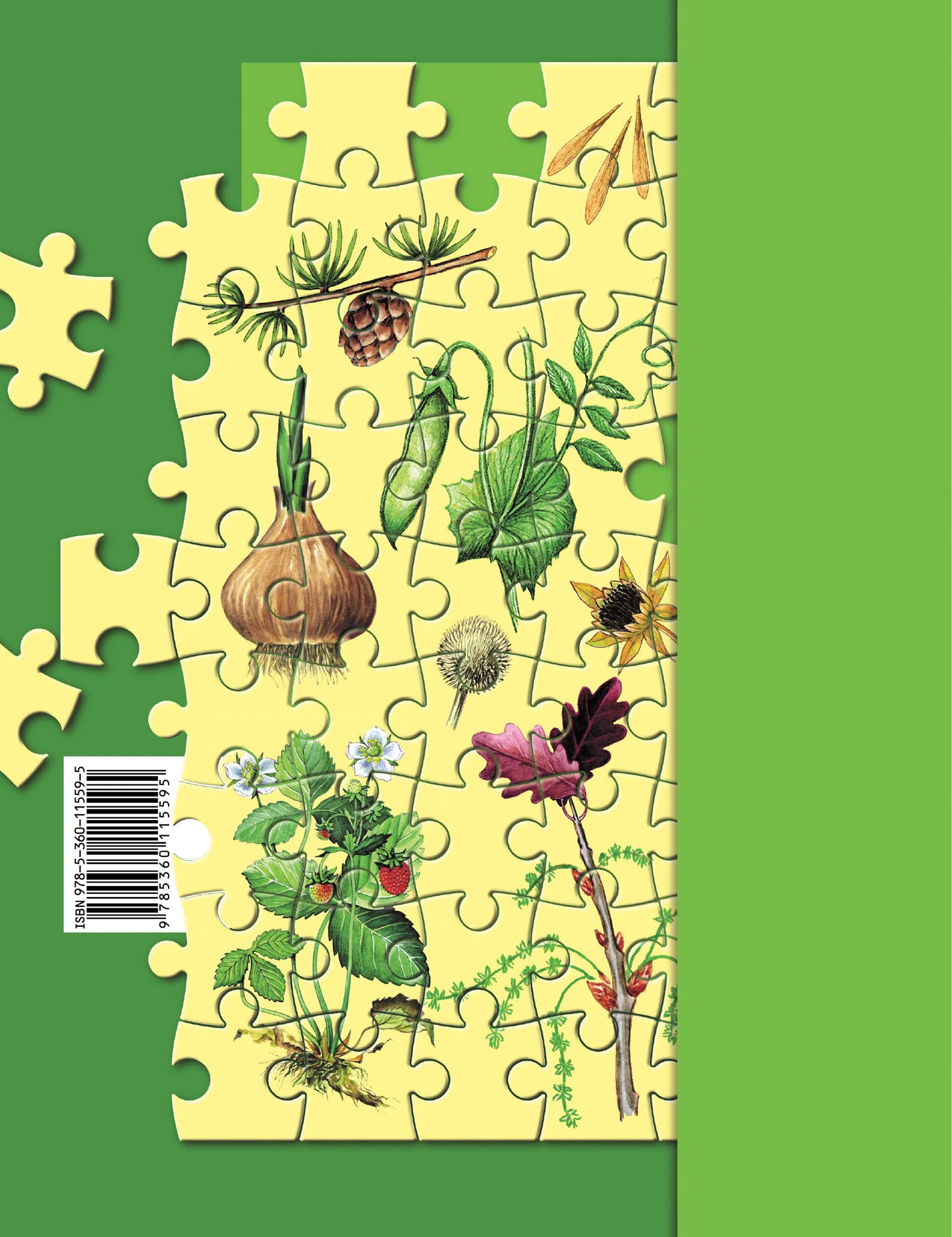 Биология. 6 класс. Рабочая тетрадь №1.