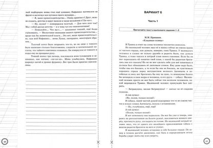 Литература. 6 класс. Всероссийская проверочная работа. Практикум по выполнению типовых заданий