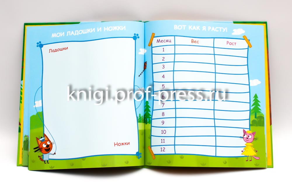 ТРИ КОТА. АЛЬБОМ. МОЙ ПЕРВЫЙ ФОТОАЛЬБОМ