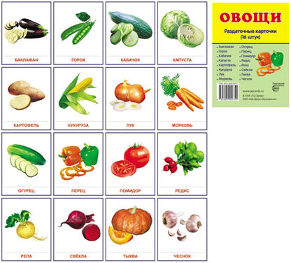 Раздаточные карточки "Овощи" (63х87мм)