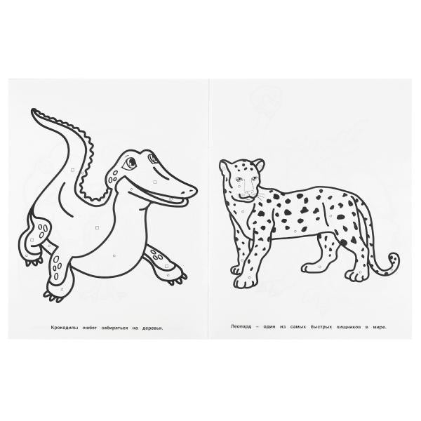 Животные. Секретный код. Найди и раскрась А4. 214х290 мм. 16 стр. Умка в кор.50шт